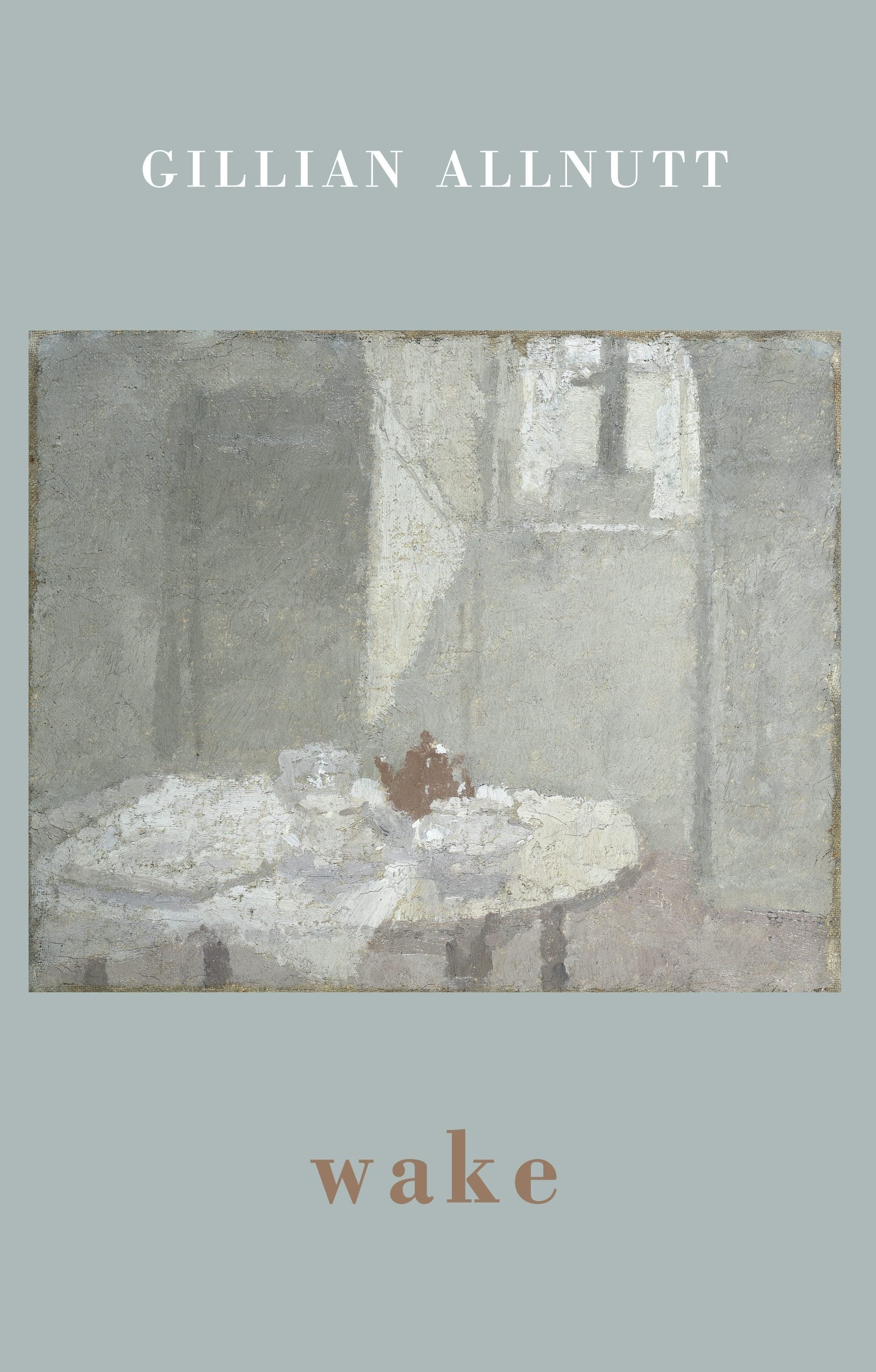 Book cover image for wake ISBN: 9781780374062