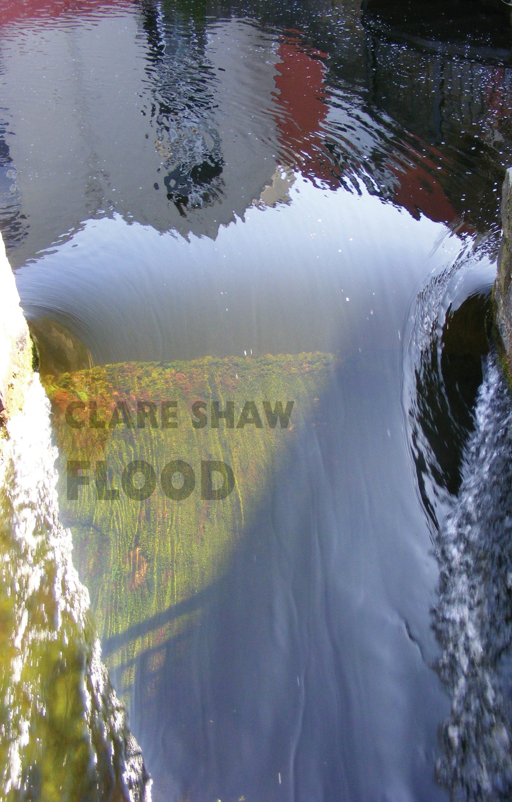 Book cover image for Flood ISBN: 9781780374208