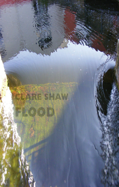 Cover image for Flood, isbn: 9781780374208