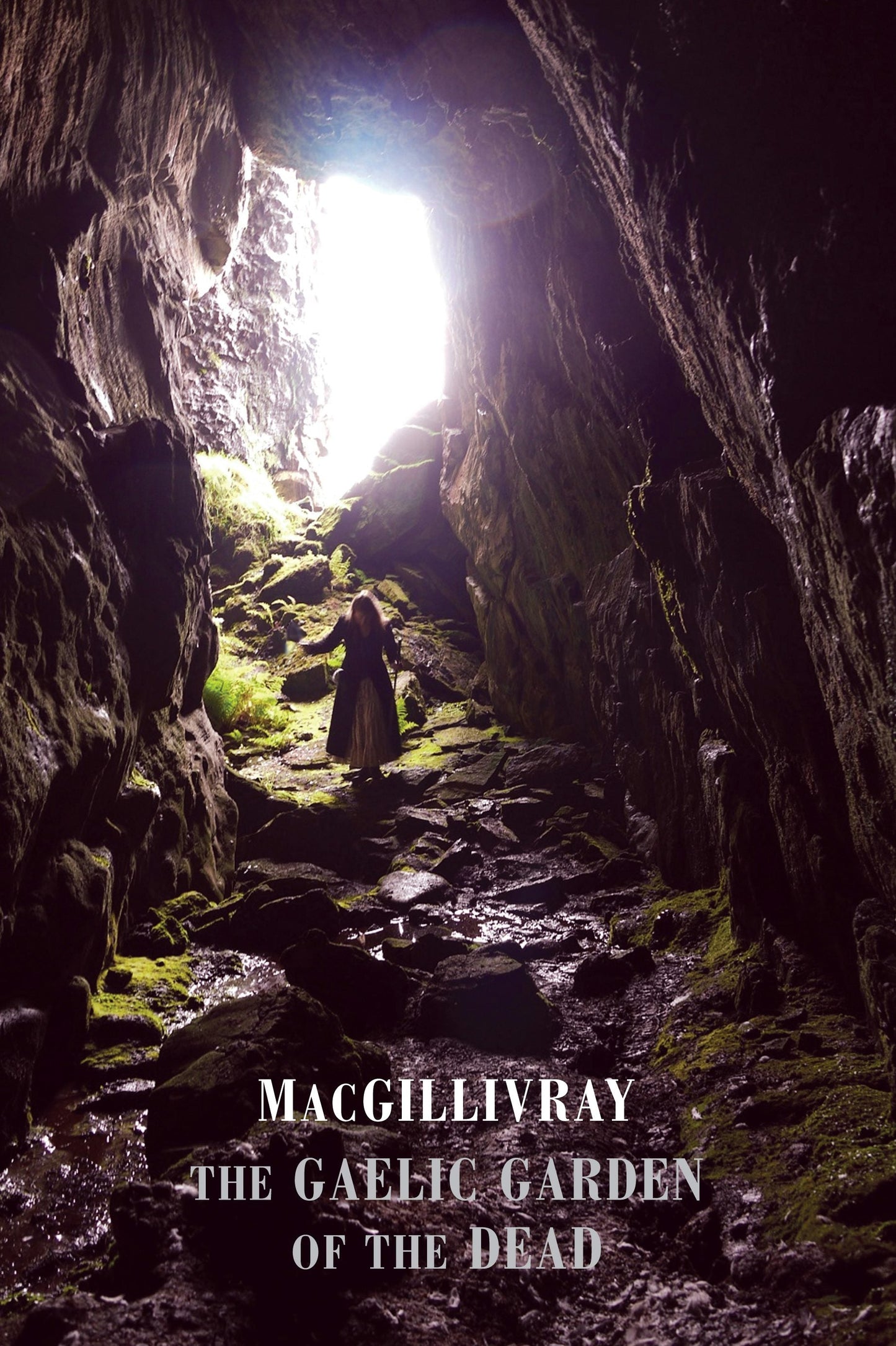 Book cover image for The Gaelic Garden of the Dead ISBN: 9781780374437