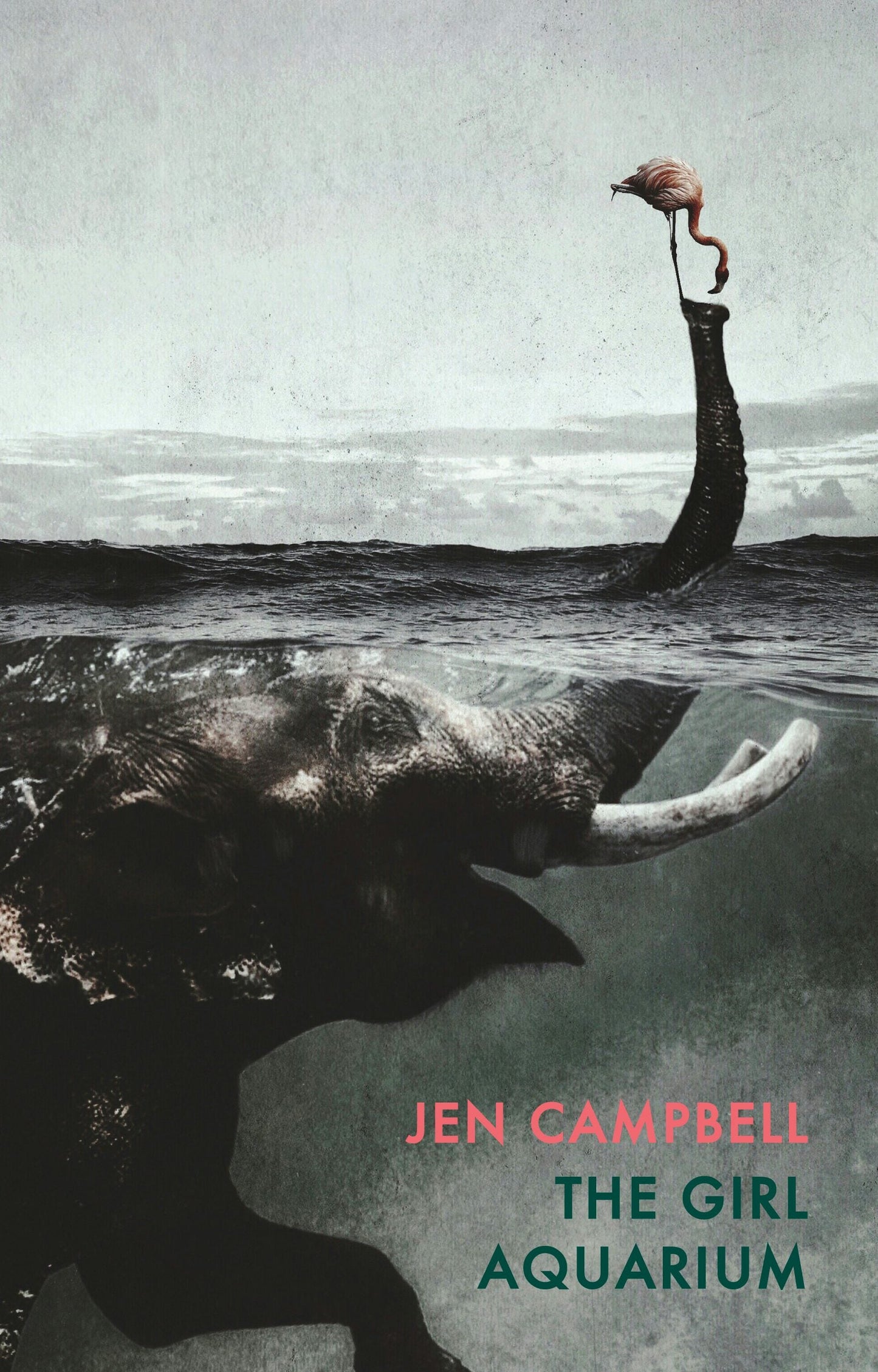 Book cover image for The Girl Aquarium ISBN: 9781780374499