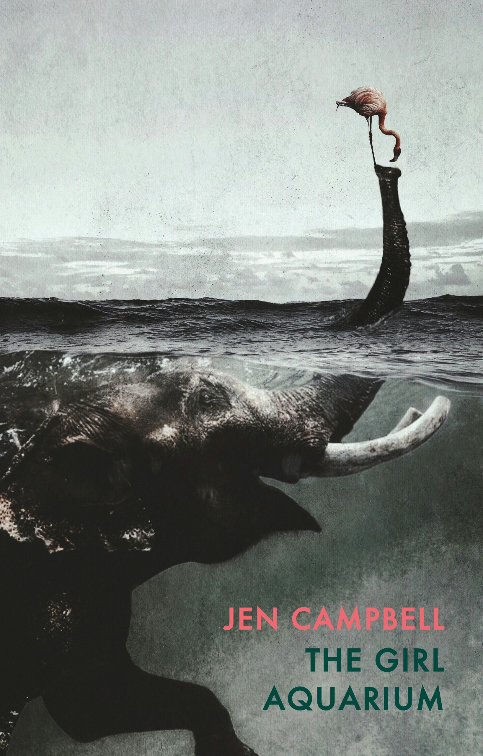 Book cover image for The Girl Aquarium ISBN: 9781780374499