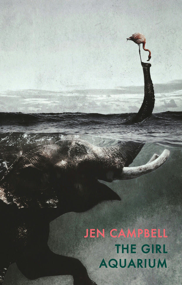 Cover image for The Girl Aquarium, isbn: 9781780374499