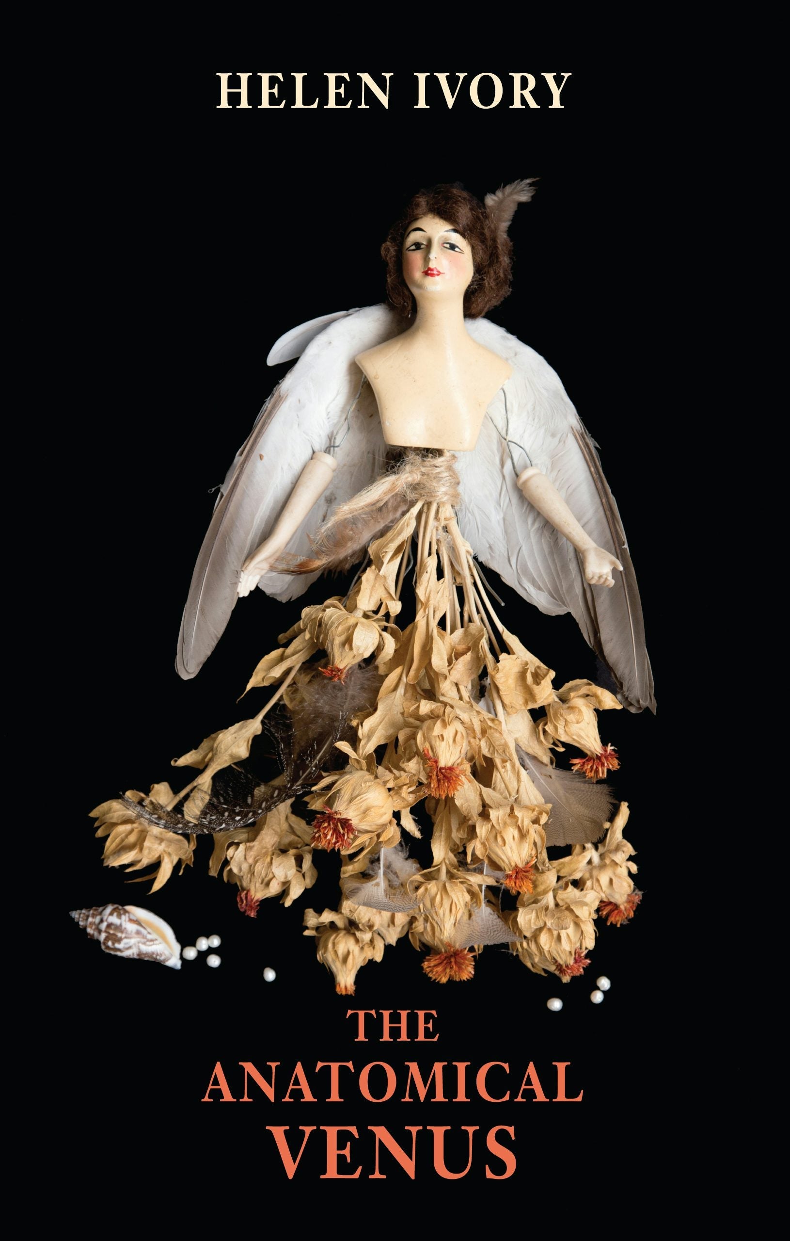 Book cover image for The Anatomical Venus ISBN: 9781780374697