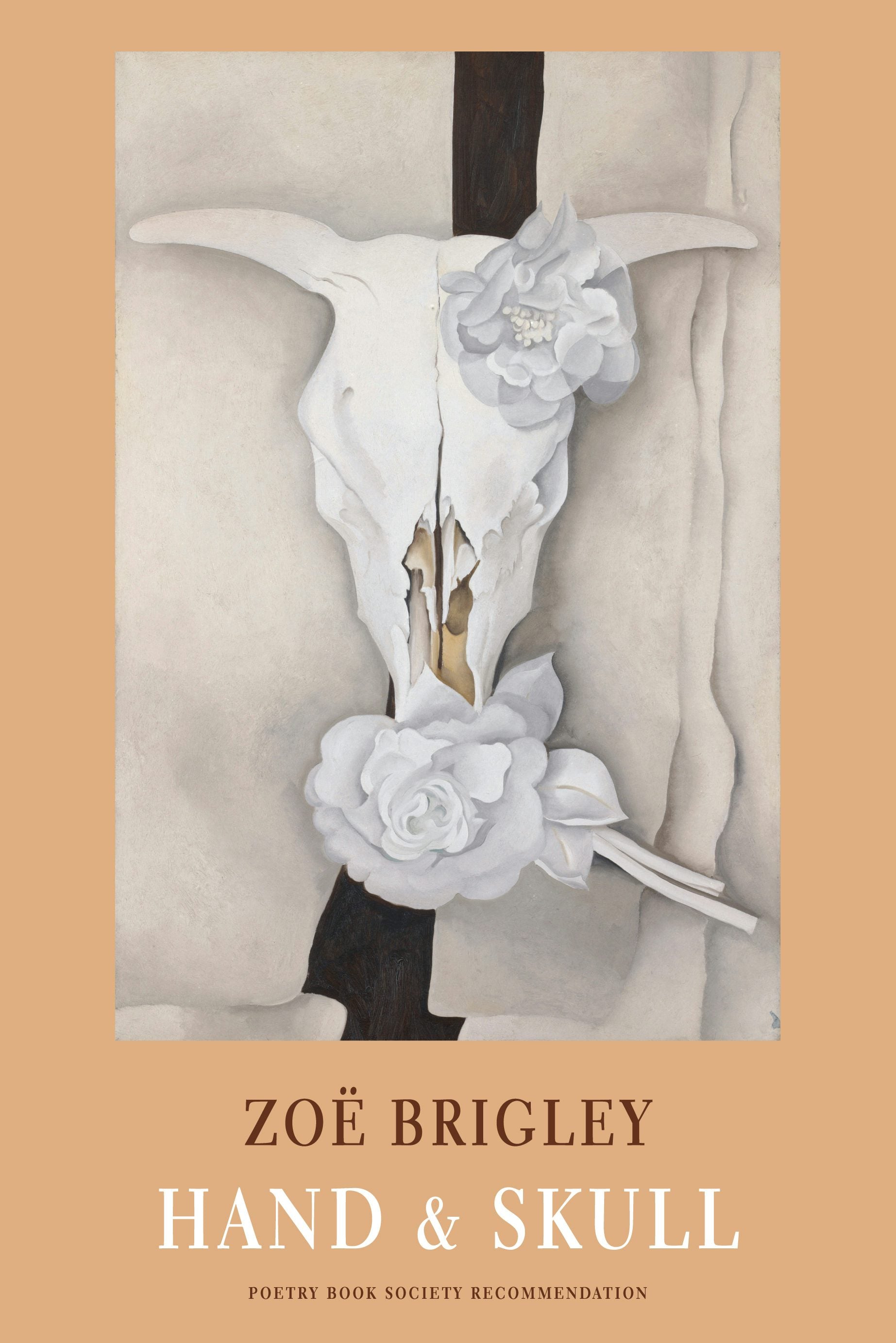 Book cover image for Hand & Skull ISBN: 9781780374727