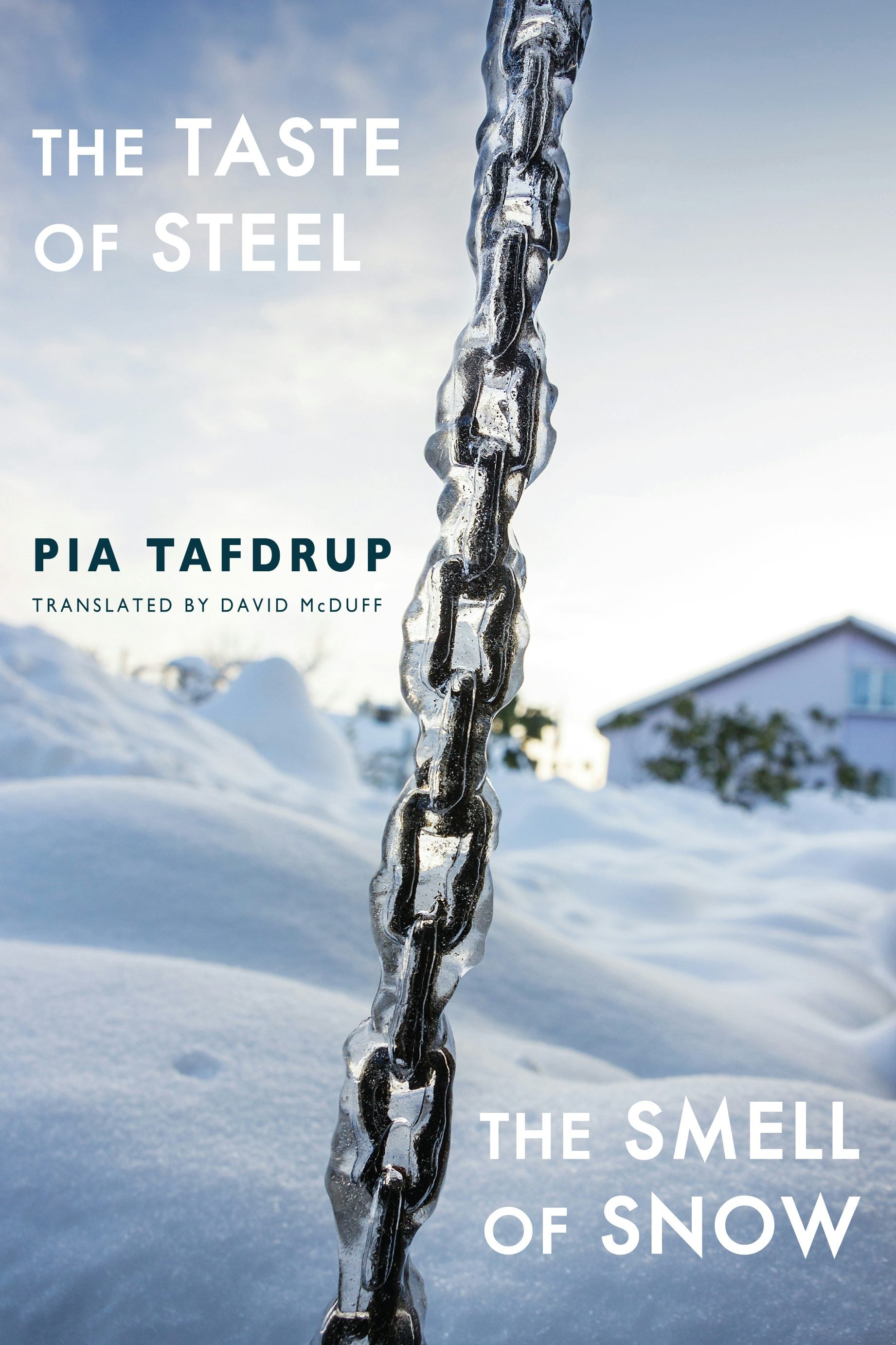 The Taste of Steel | The Smell of Snow
