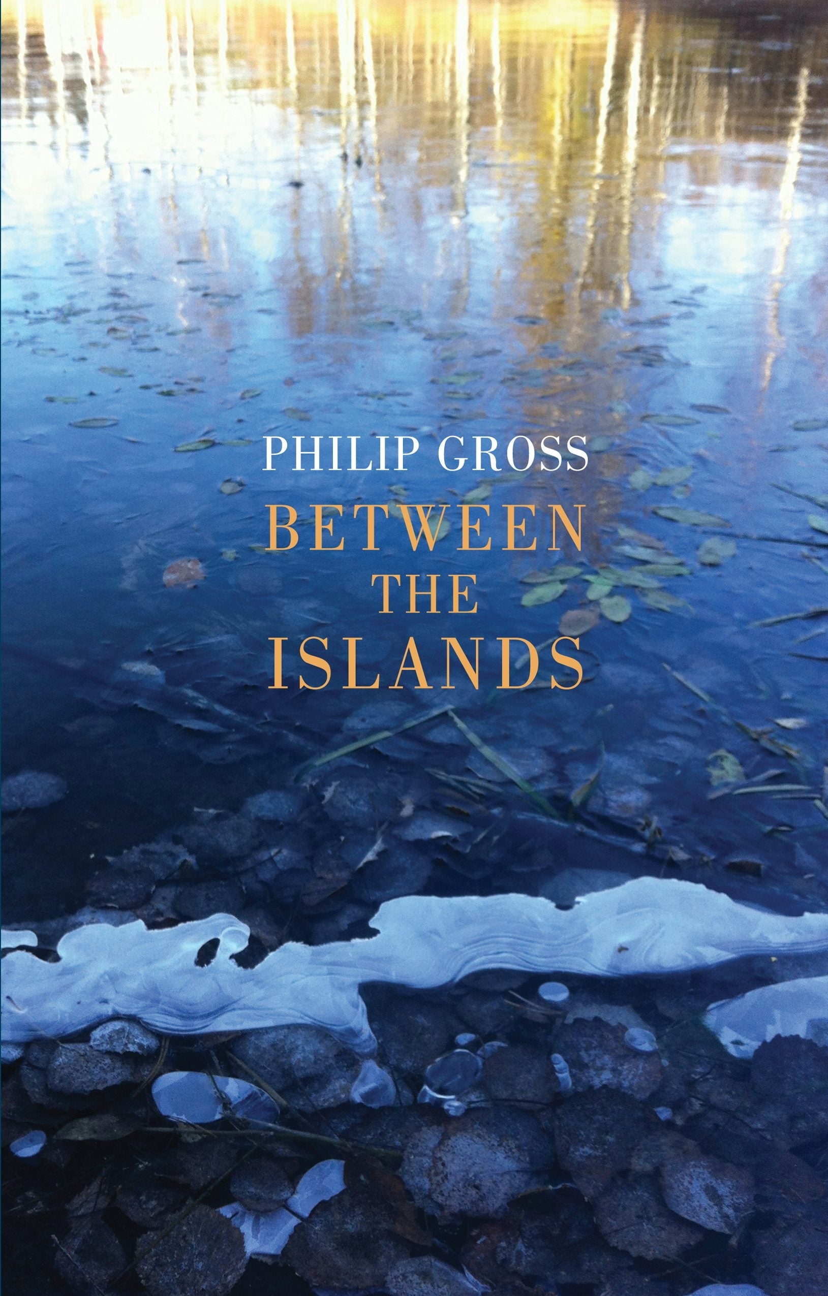 Book cover image for Between the Islands ISBN: 9781780375069