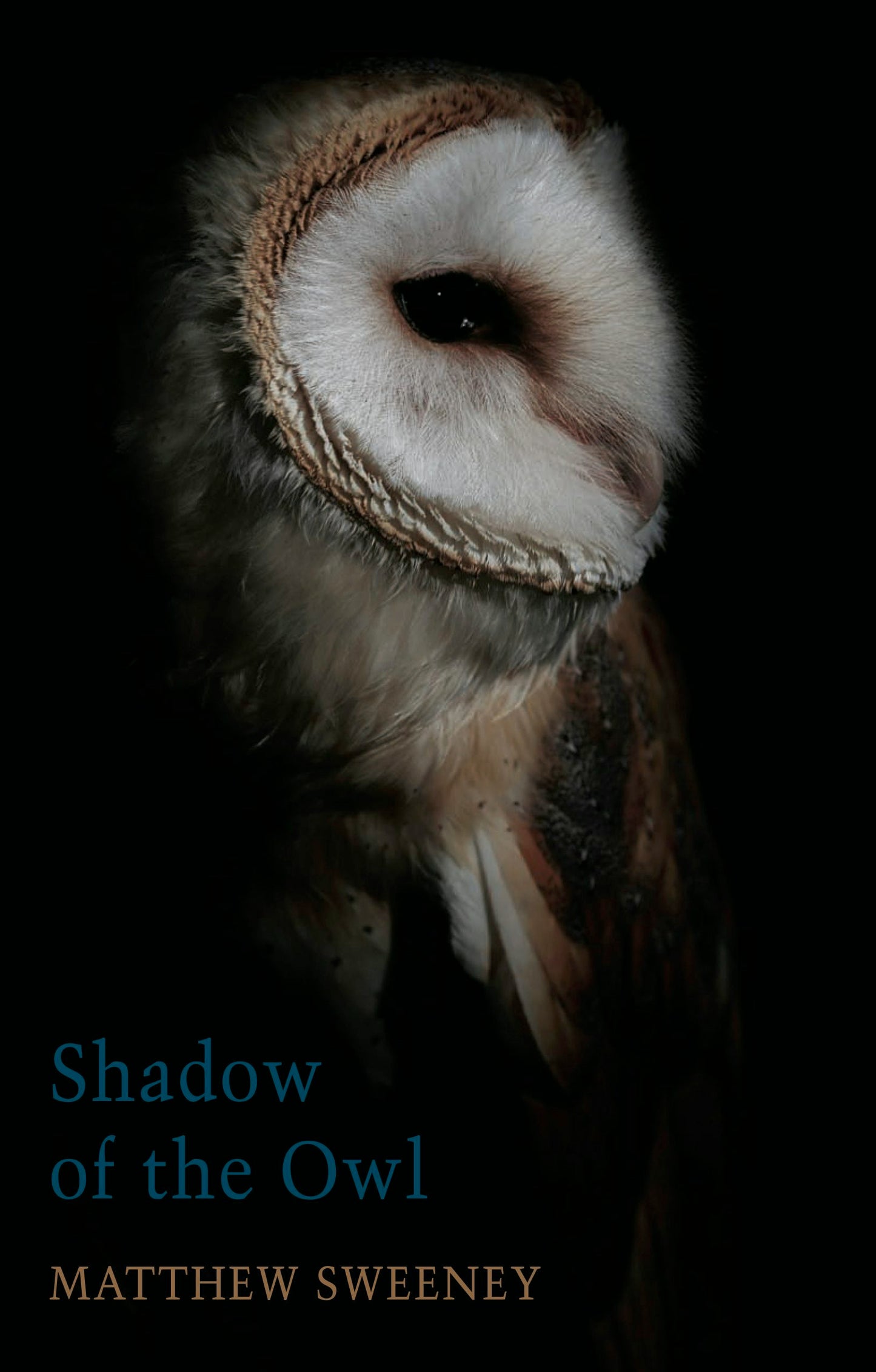 Book cover image for Shadow of the Owl ISBN: 9781780375427