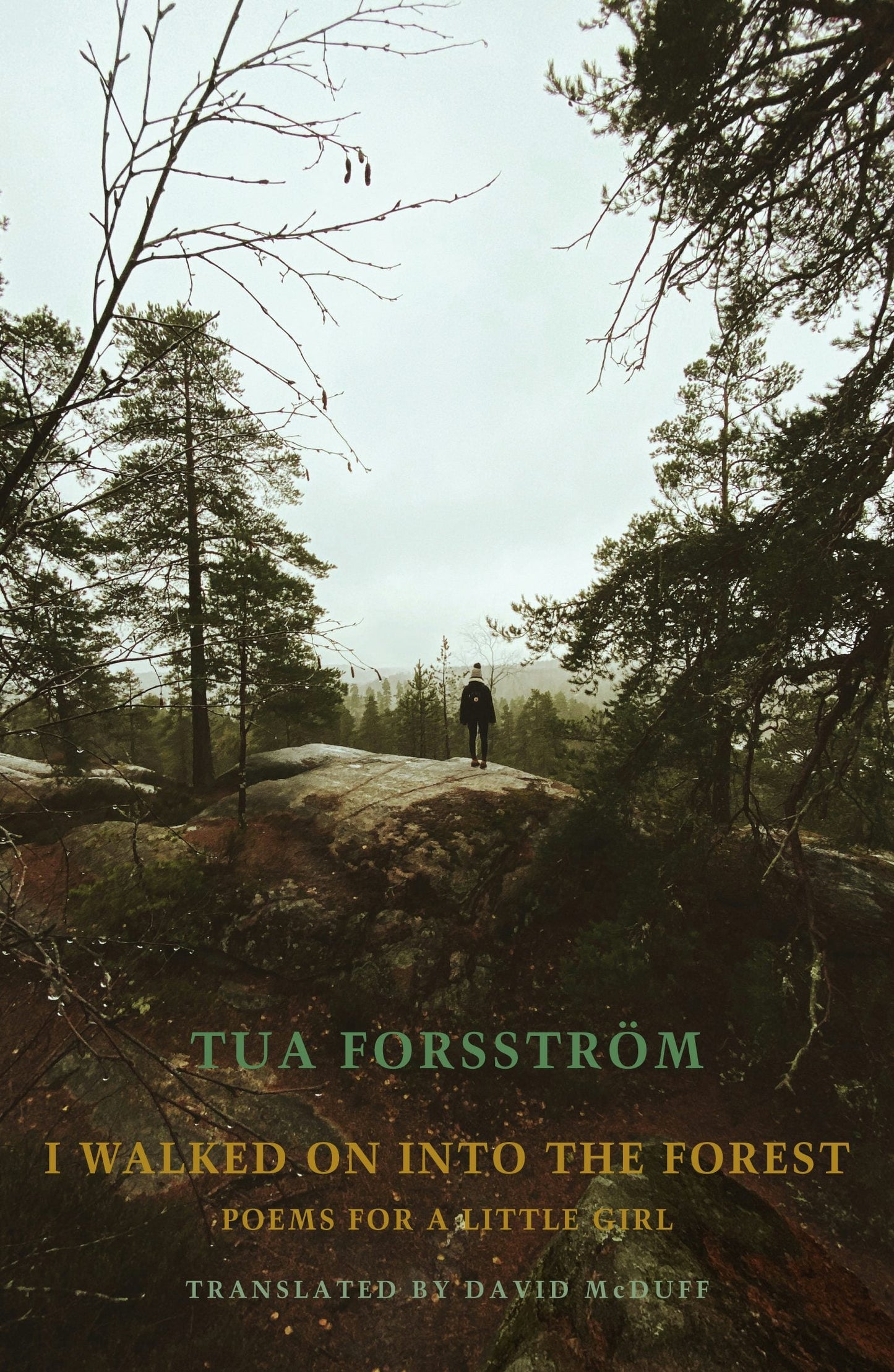 Book cover image for I walked on into the forest ISBN: 9781780375823