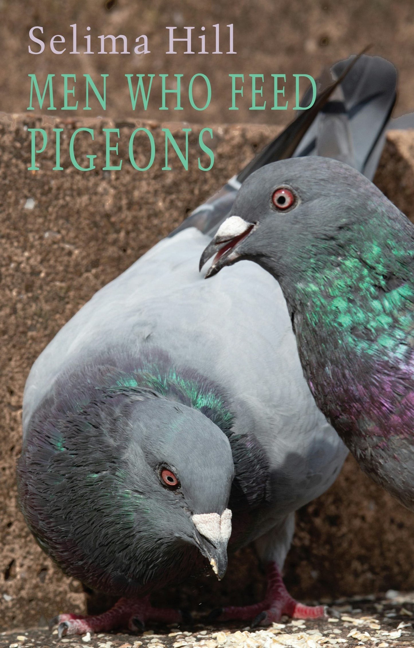 Book cover image for Men Who Feed Pigeons ISBN: 9781780375861