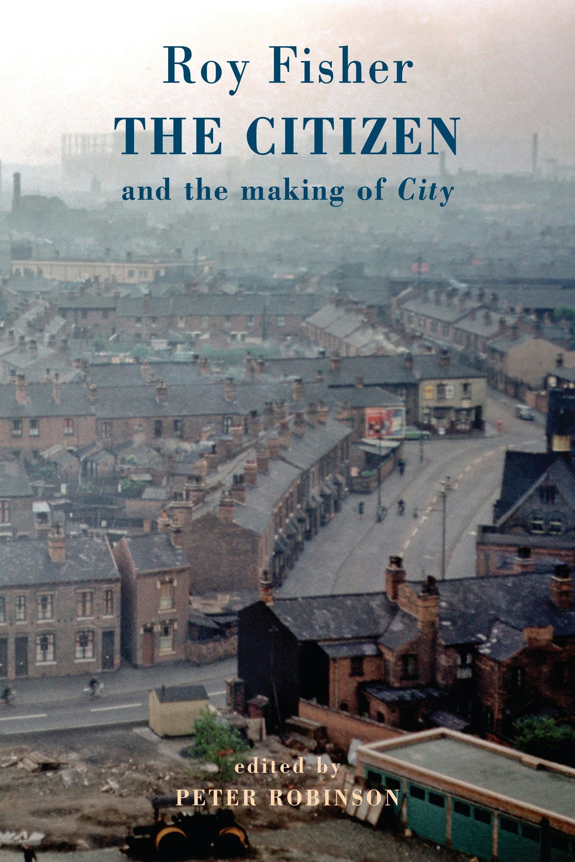 Book cover image for The Citizen ISBN: 9781780375960