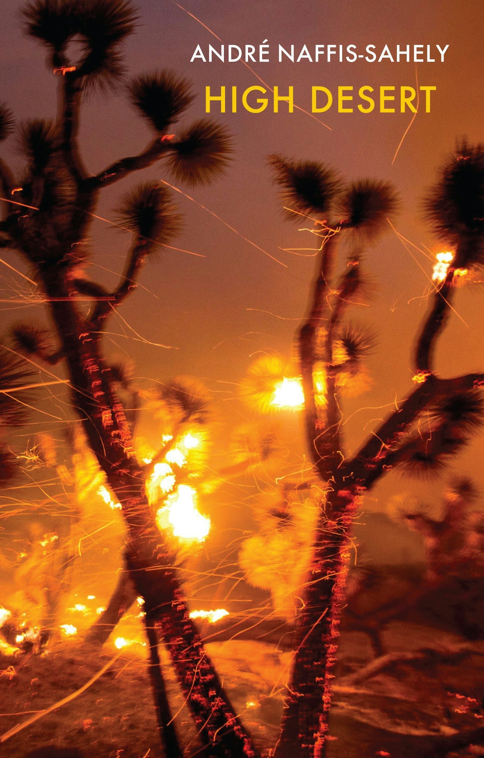 Book cover image for High Desert ISBN: 9781780376202