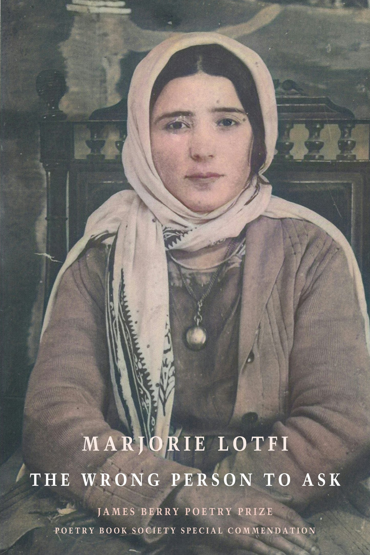 Book cover image for The Wrong Person to Ask ISBN: 9781780376394