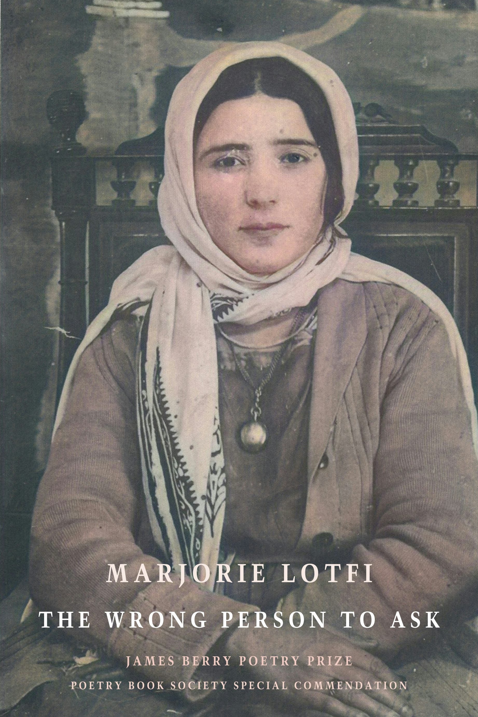 Book cover image for The Wrong Person to Ask ISBN: 9781780376394