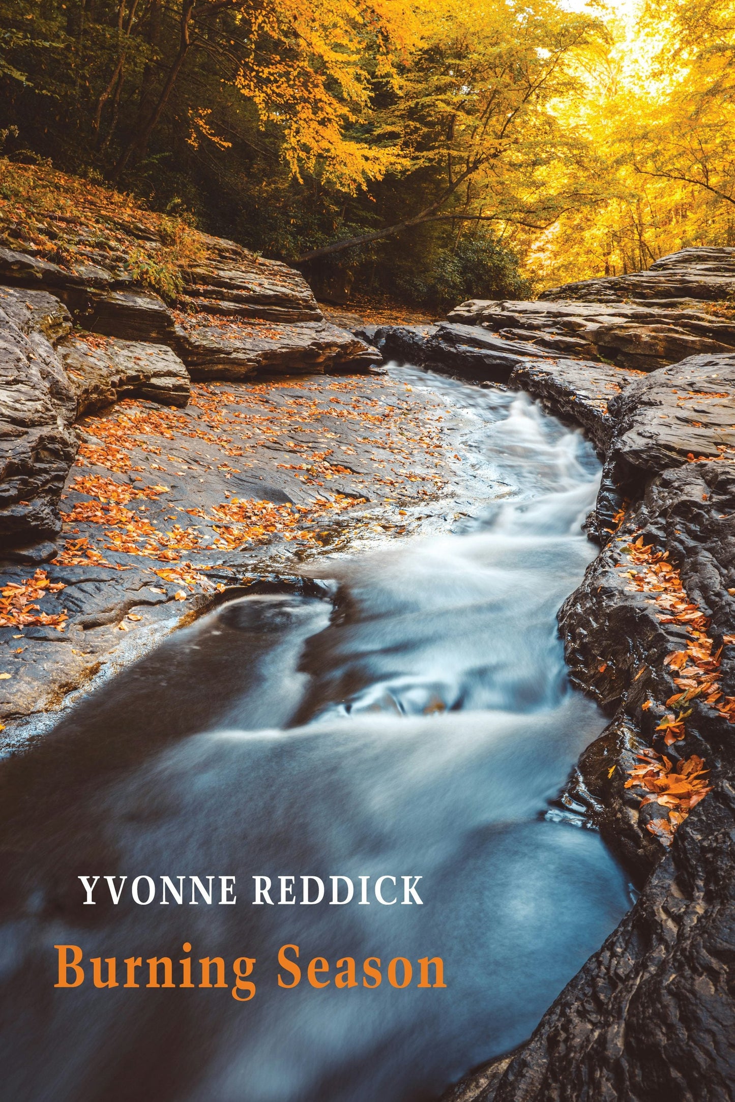 Book cover image for Burning Season ISBN: 9781780376455