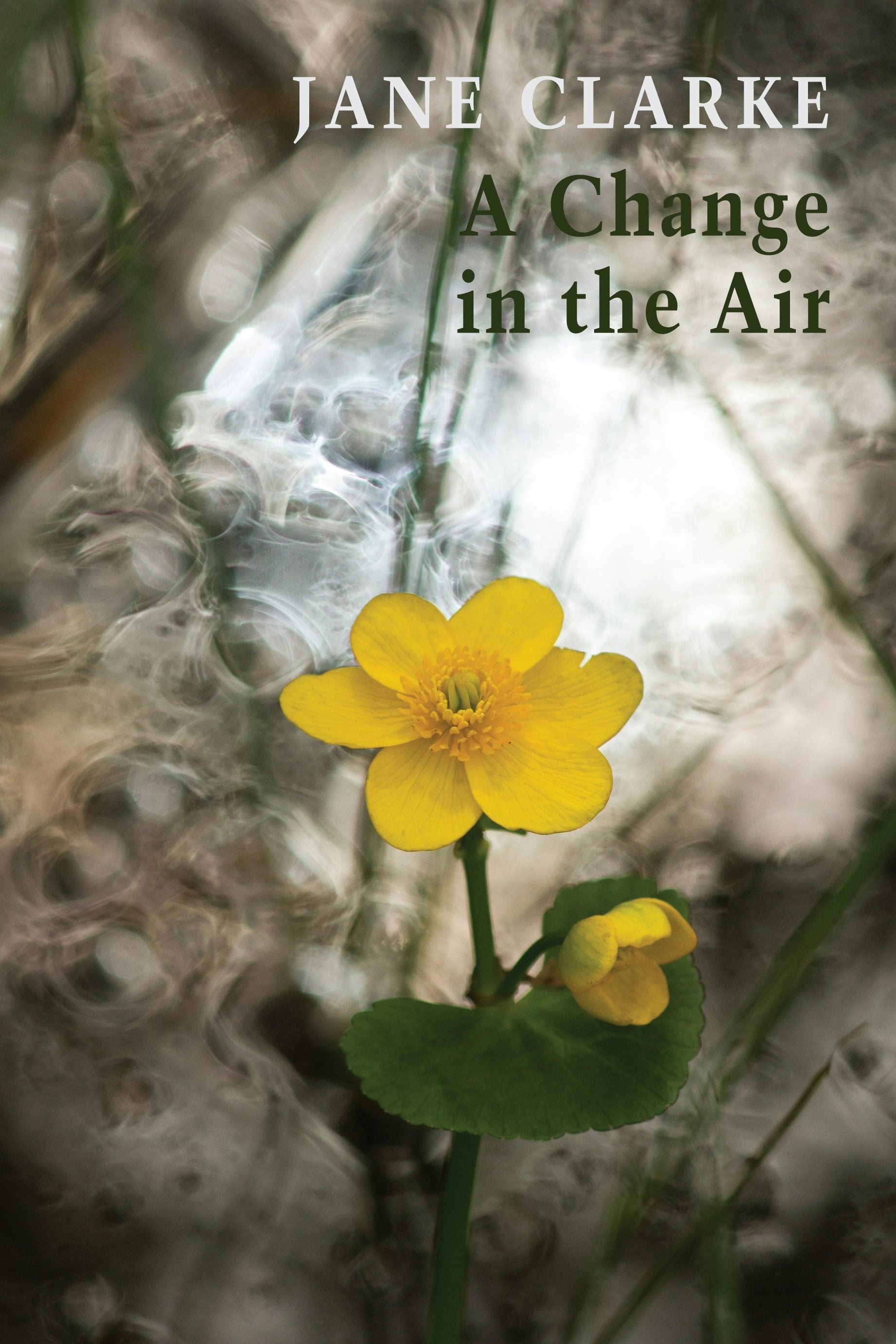 Book cover image for A Change in the Air ISBN: 9781780376592