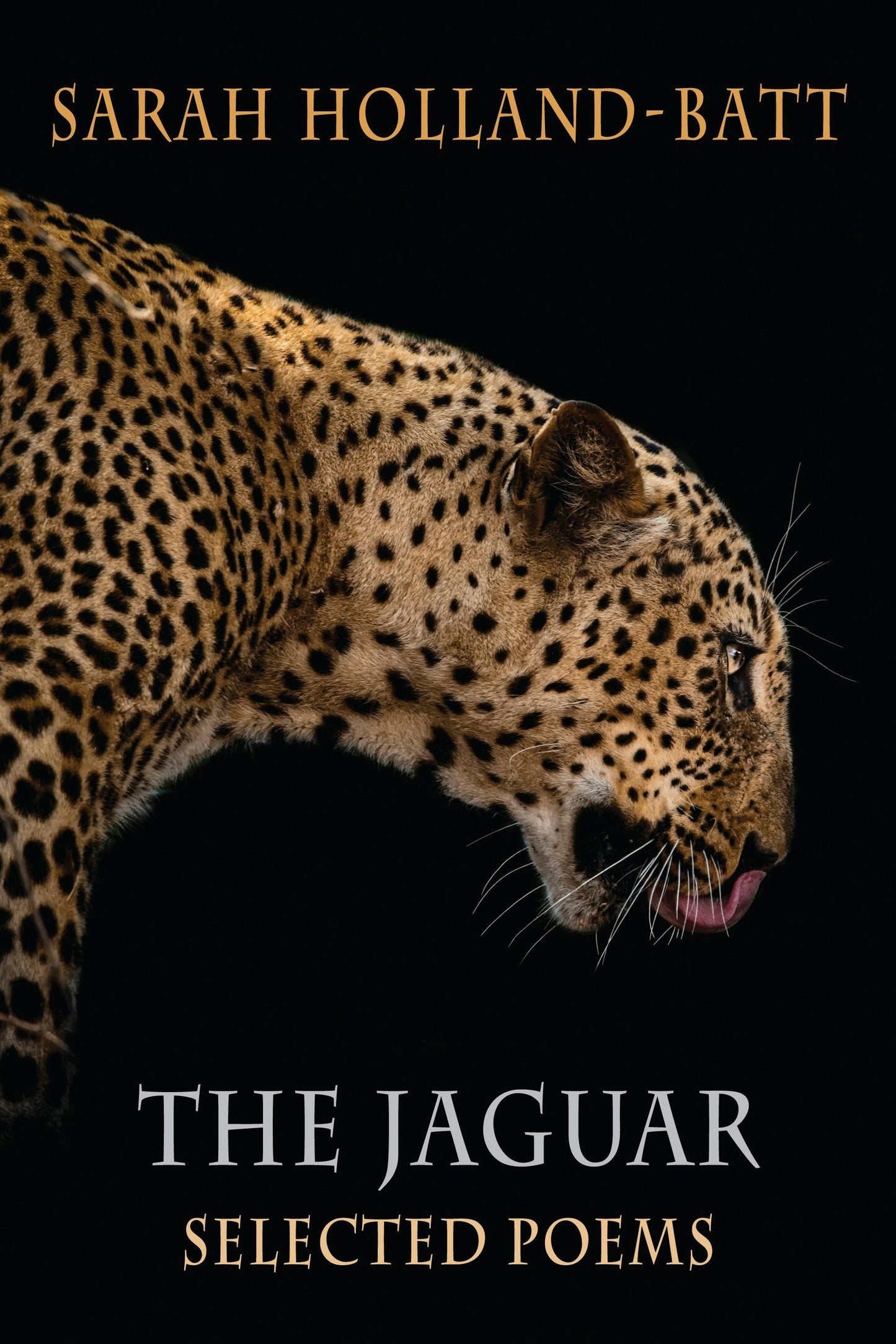 Book cover image for The Jaguar ISBN: 9781780377049