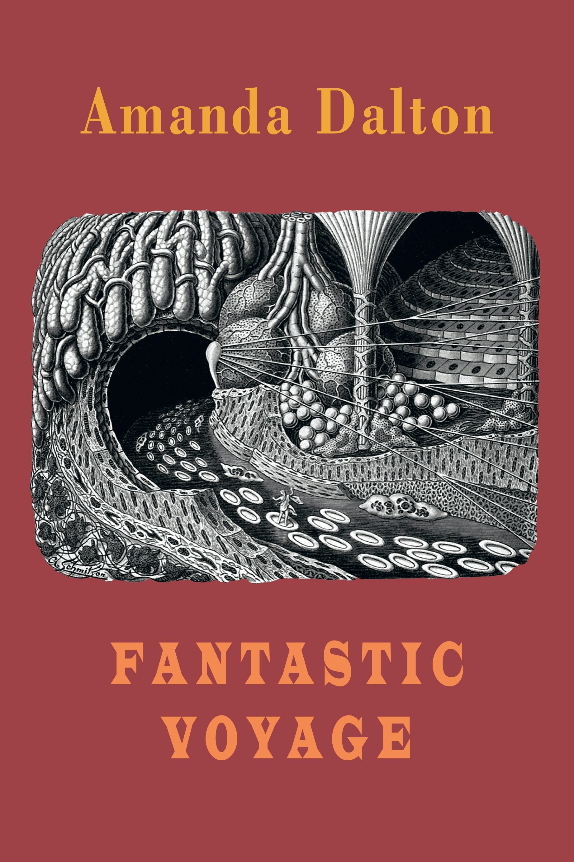Book cover image for Fantastic Voyage ISBN: 9781780377117