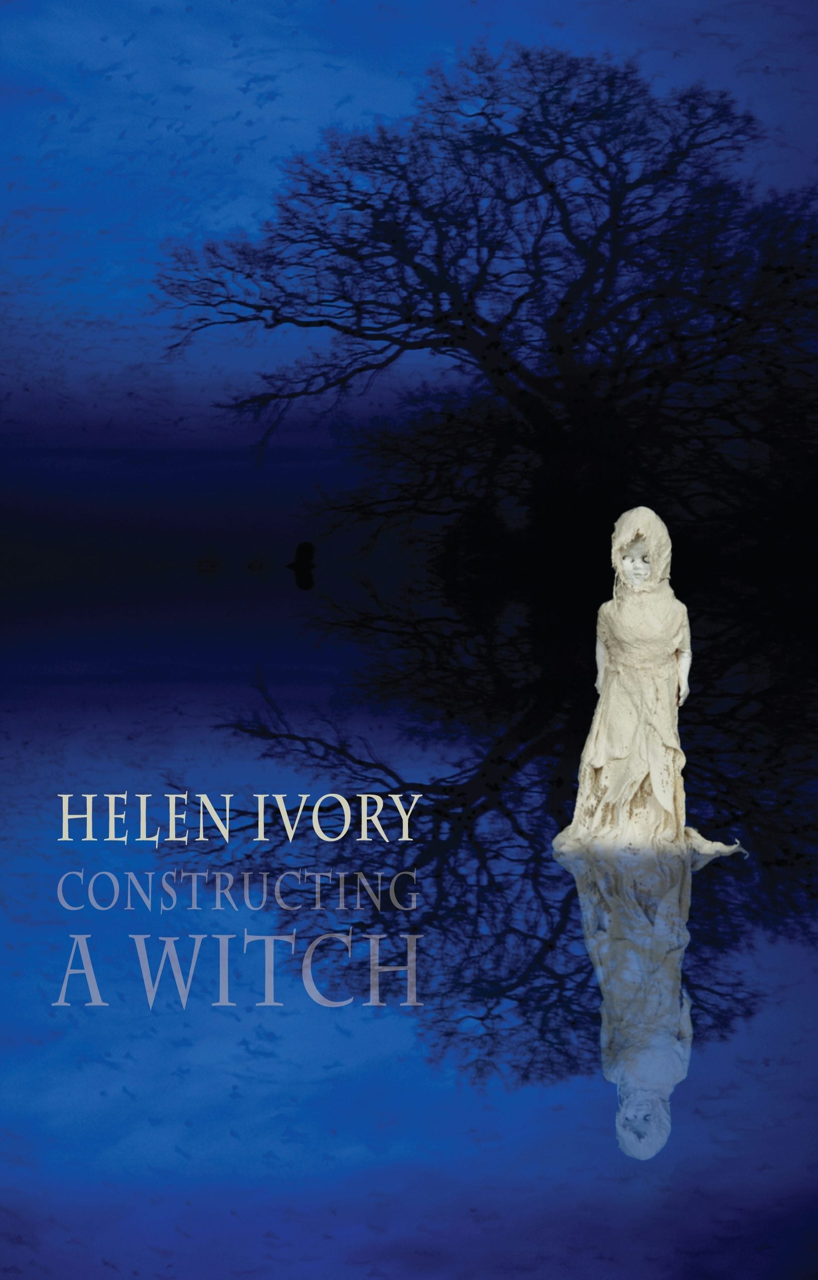 Book cover image for Constructing a Witch ISBN: 9781780377193