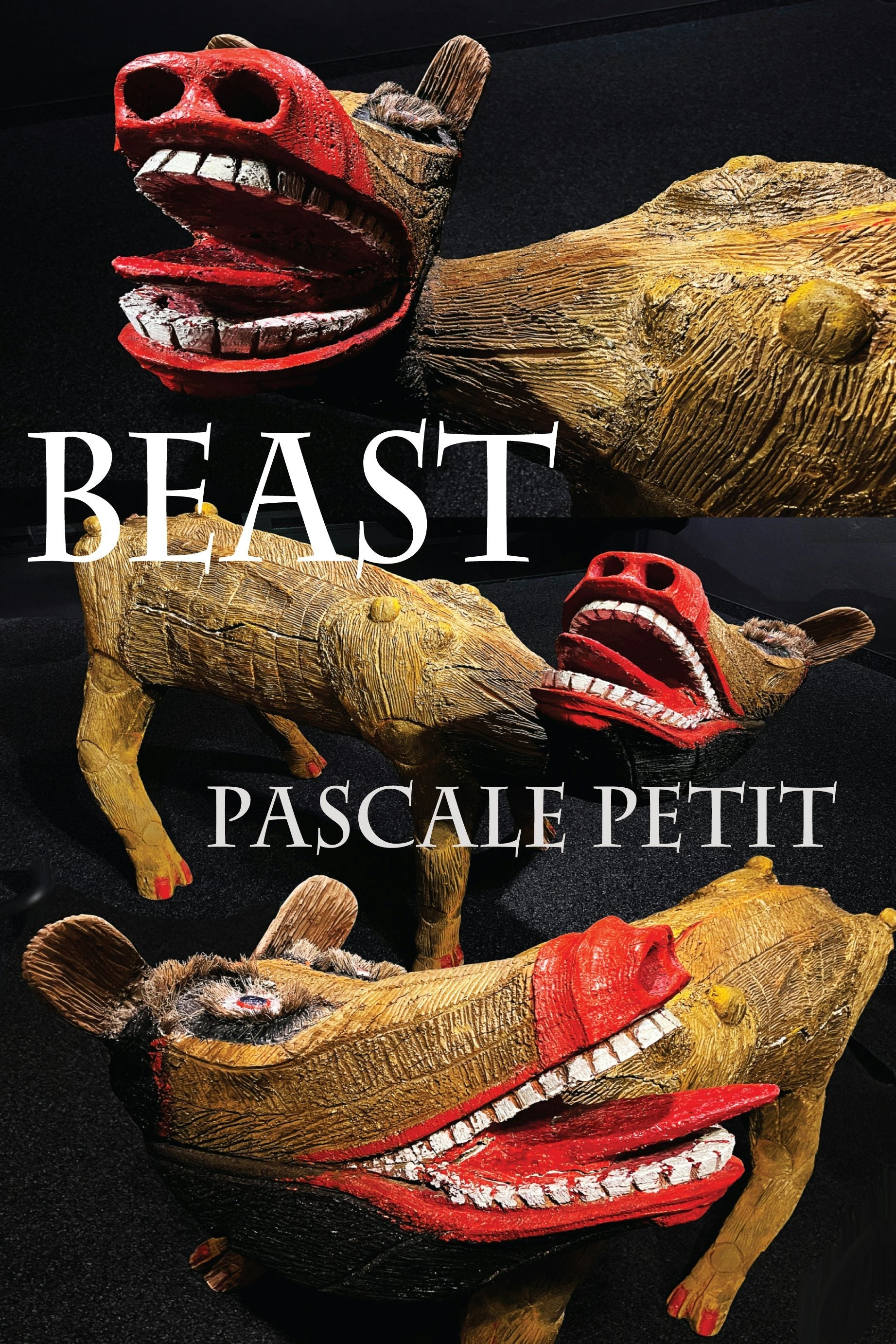 Book cover image for Beast ISBN: 9781780377377