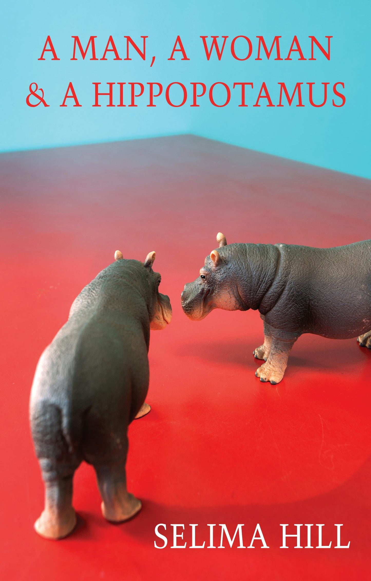 Book cover image for A Man, a Woman & a Hippopotamus ISBN: 9781780377520