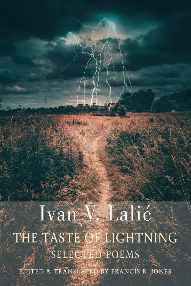 Cover image for The Taste of Lightning, isbn: 9781780377612