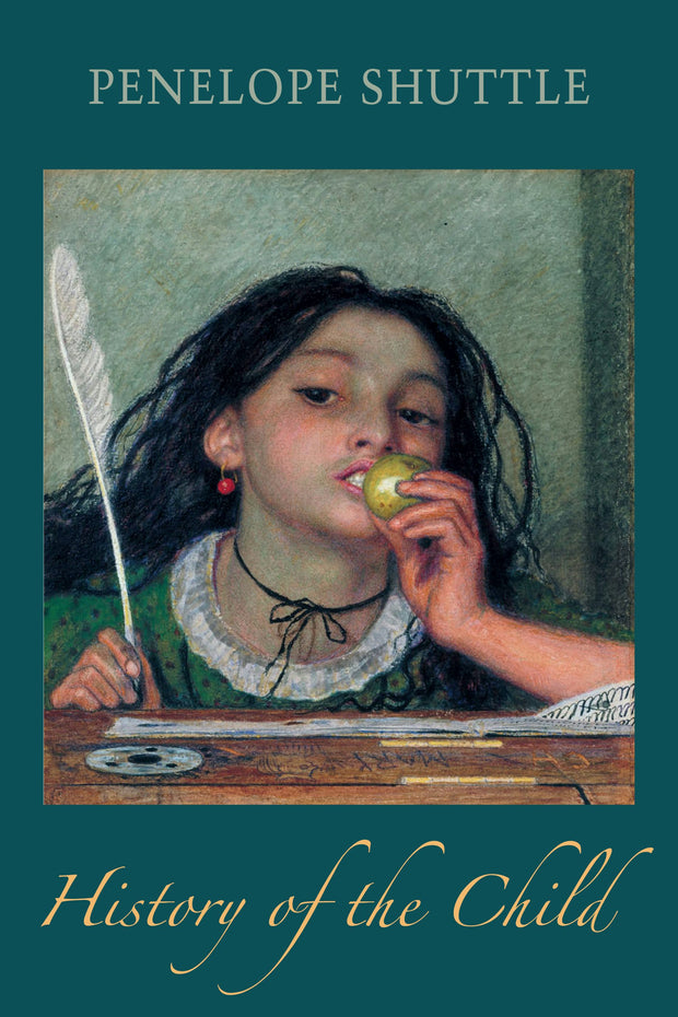 Cover image for History of the Child, isbn: 9781780377858