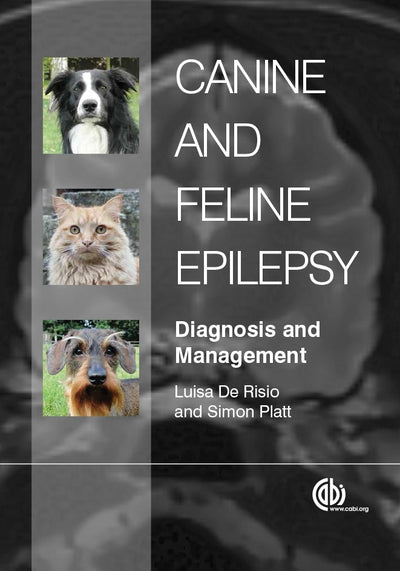 Cover image for Canine and Feline Epilepsy, isbn: 9781780641096
