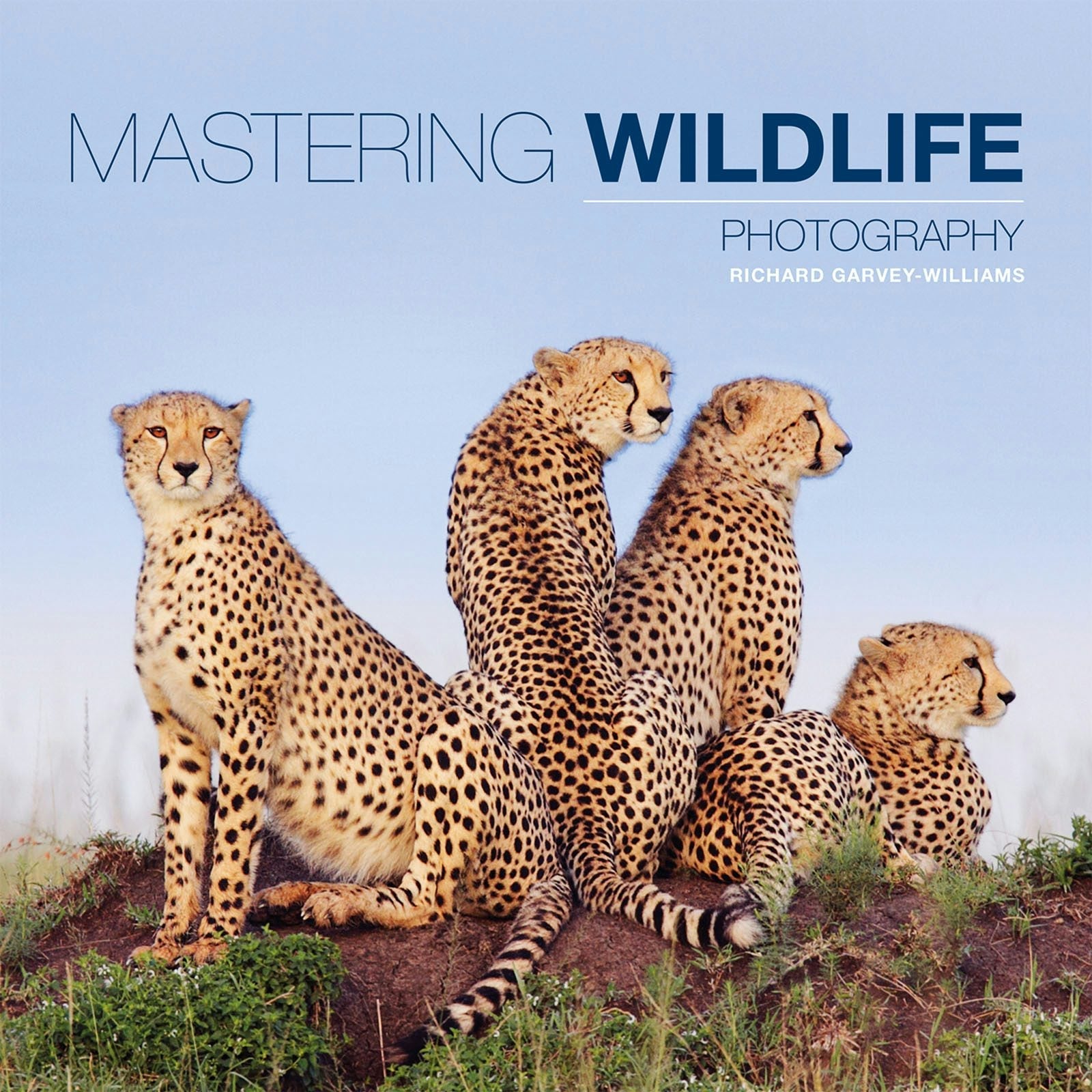 Book cover image for Mastering Wildlife Photography ISBN: 9781781450864