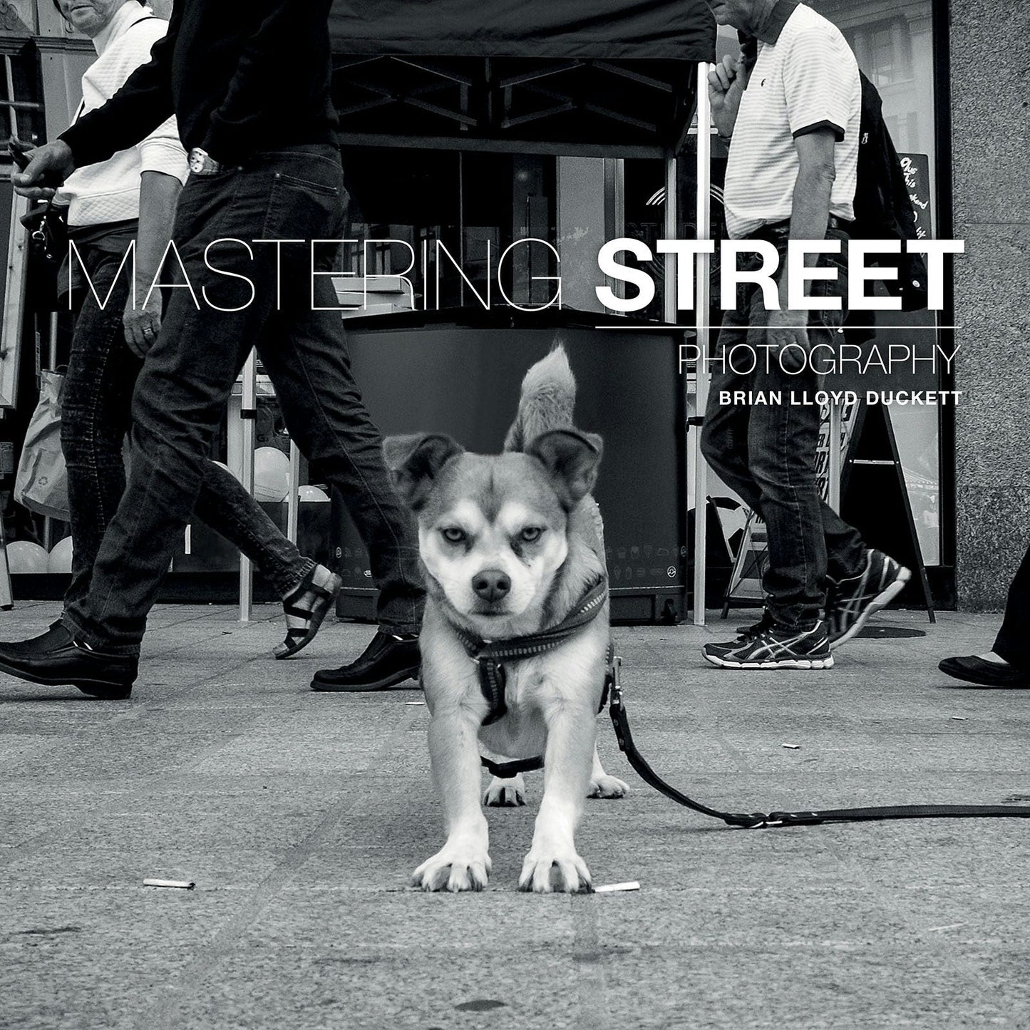 Book cover image for Mastering Street Photography ISBN: 9781781452691