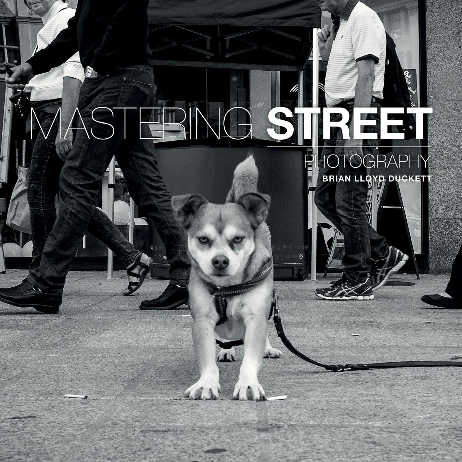 Book cover image for Mastering Street Photography ISBN: 9781781452691