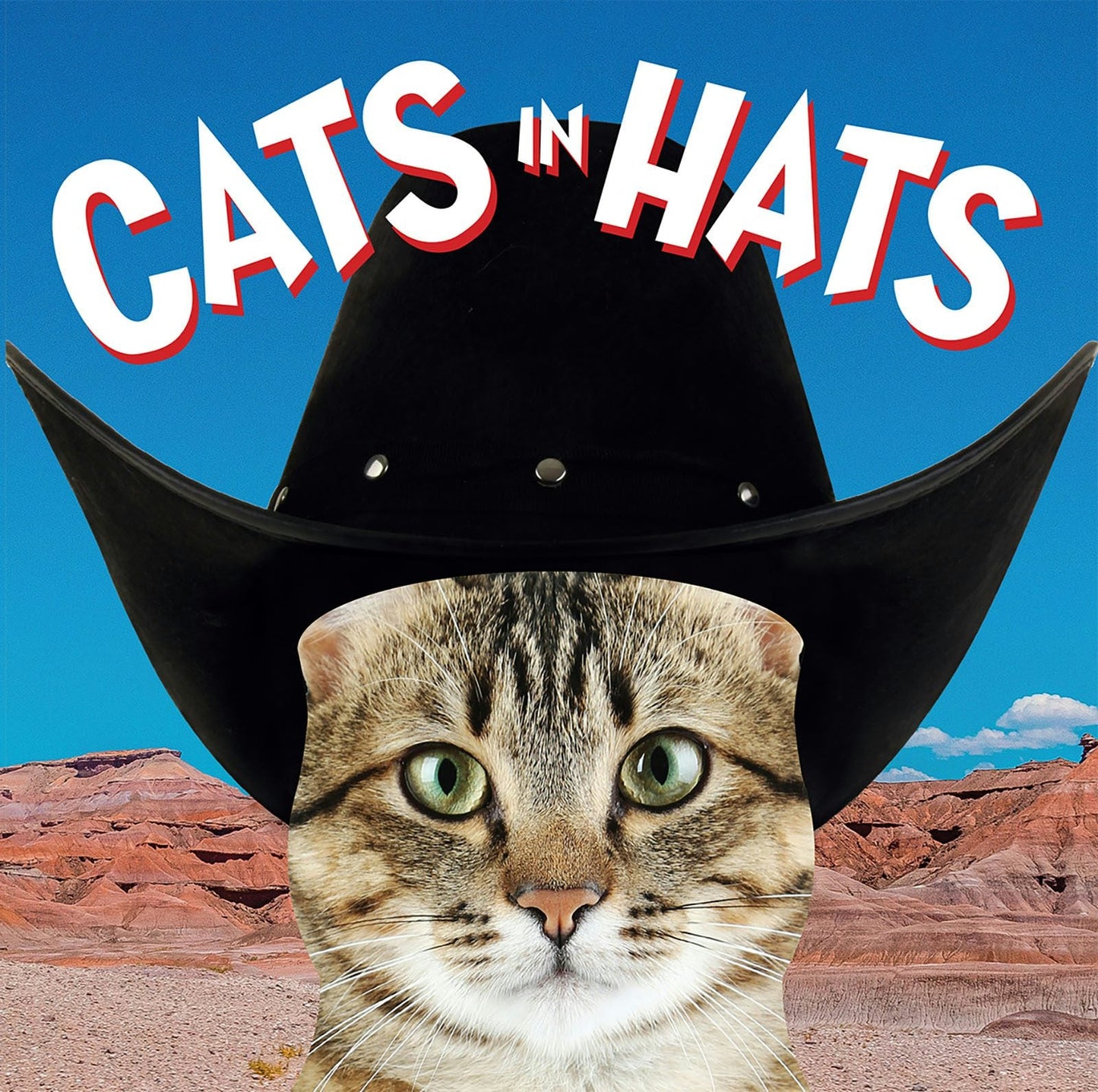 Book cover image for Cats in Hats ISBN: 9781781453476