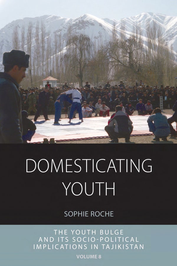 Cover image for Domesticating Youth, isbn: 9781782382621