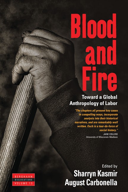 Book cover image for Blood and Fire ISBN: 9781782383635