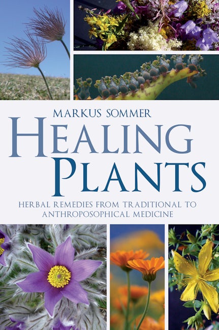 Book cover image for Healing Plants ISBN: 9781782500575