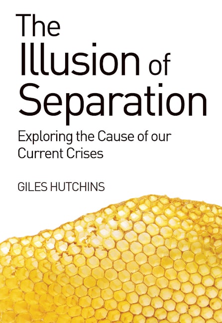 Book cover image for The Illusion of Separation ISBN: 9781782501275