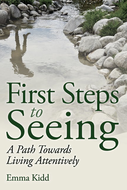 Book cover image for First Steps to Seeing ISBN: 9781782501695