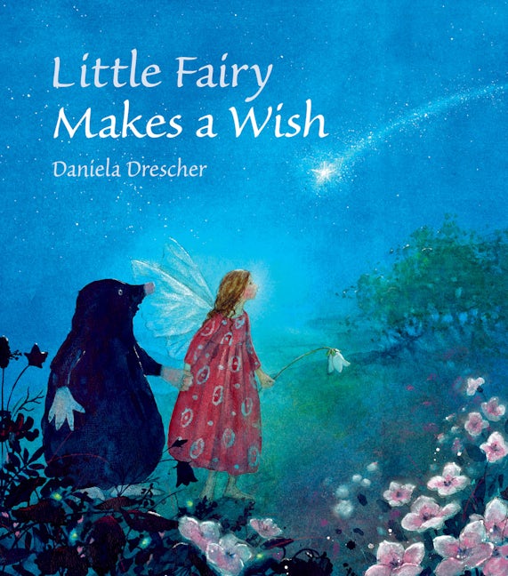 Book cover image for Little Fairy Makes a Wish ISBN: 9781782502432