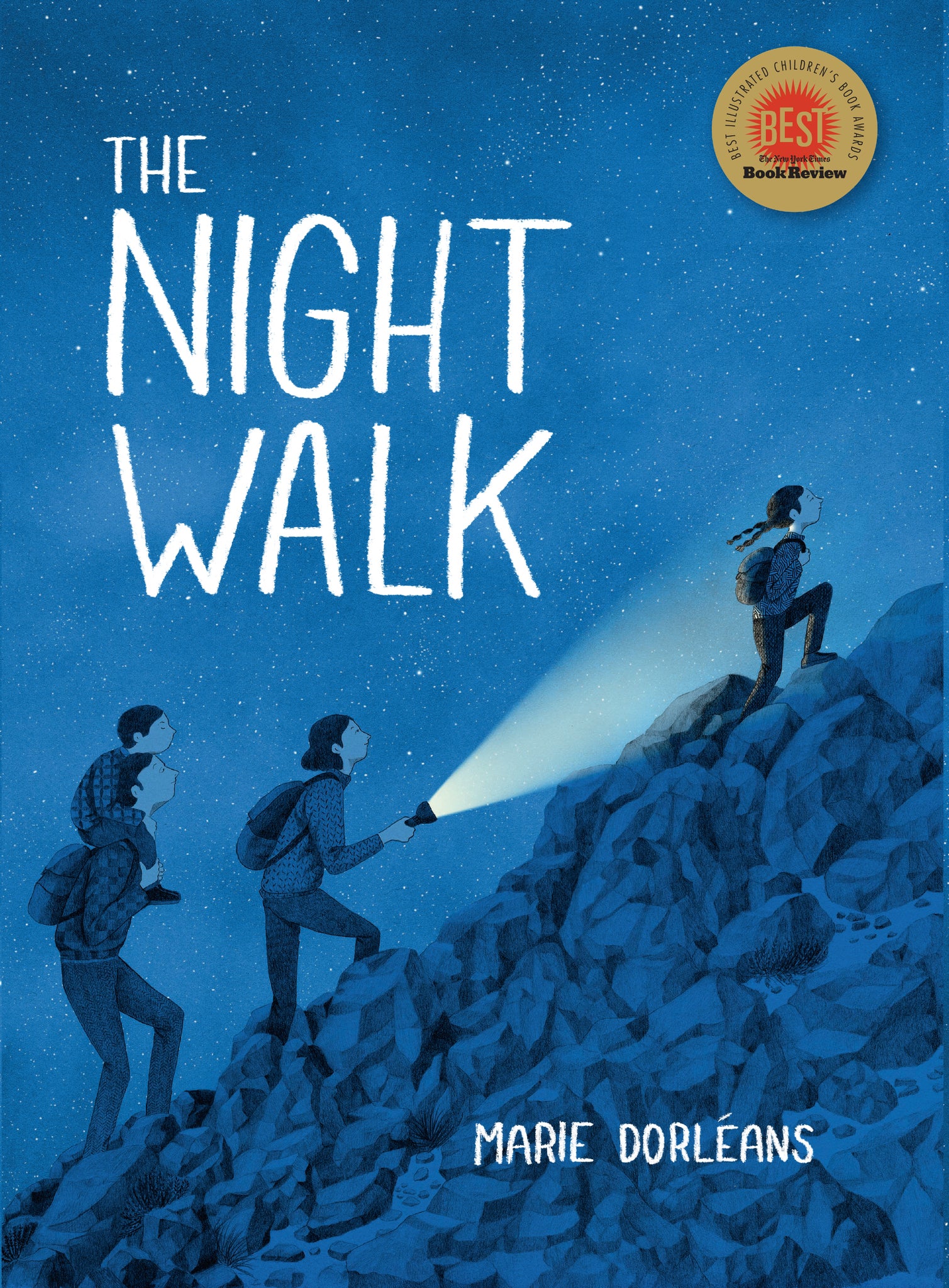 Cover image for The Night Walk ISBN 9781782506393