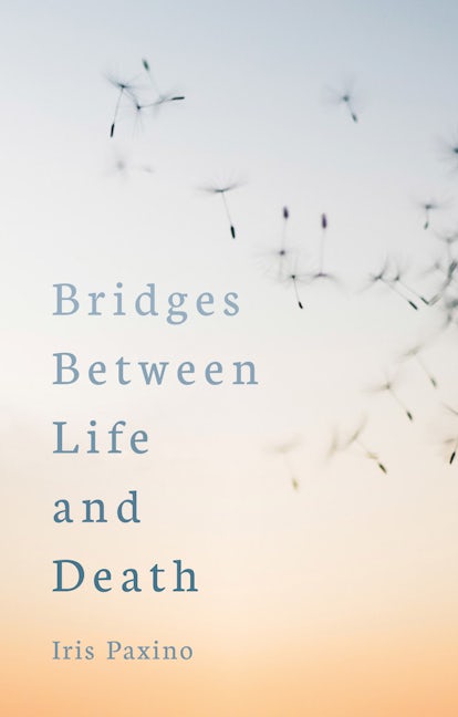 Book cover image for Bridges Between Life and Death ISBN: 9781782506454