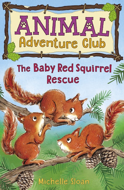 Book cover image for The Baby Red Squirrel Rescue (Animal Adventure Club 3) ISBN: 9781782506669
