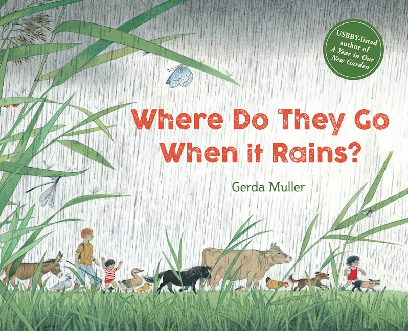 Book cover image for Where Do They Go When It Rains? ISBN: 9781782506874