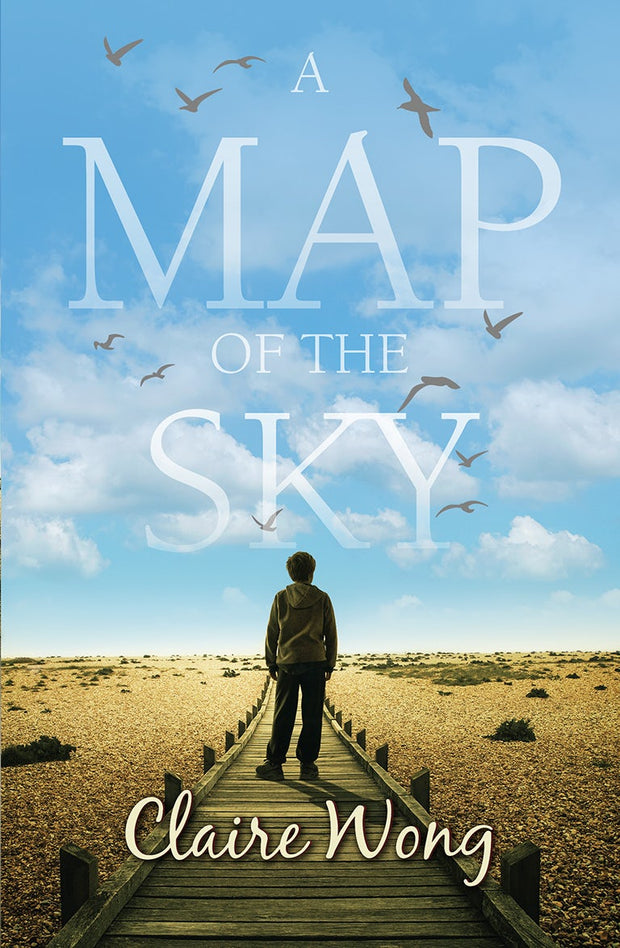 Cover image for A Map of the Sky, isbn: 9781782642701