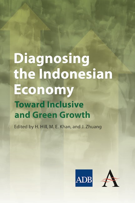 Book cover image for Diagnosing the Indonesian Economy ISBN: 9781783080526