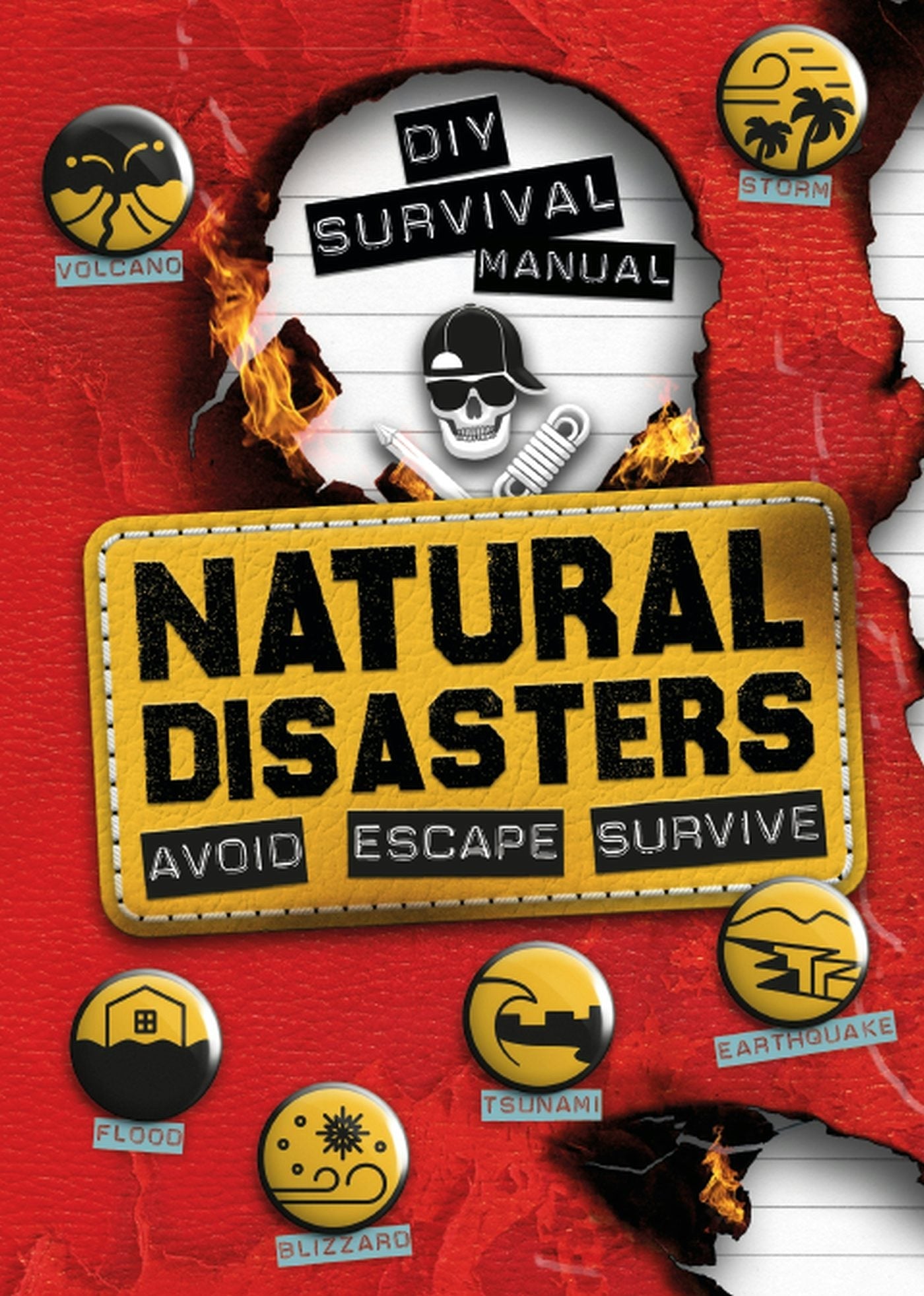 Book cover image for DIY Survival Manual: Natural Disasters ISBN: 9781783124763