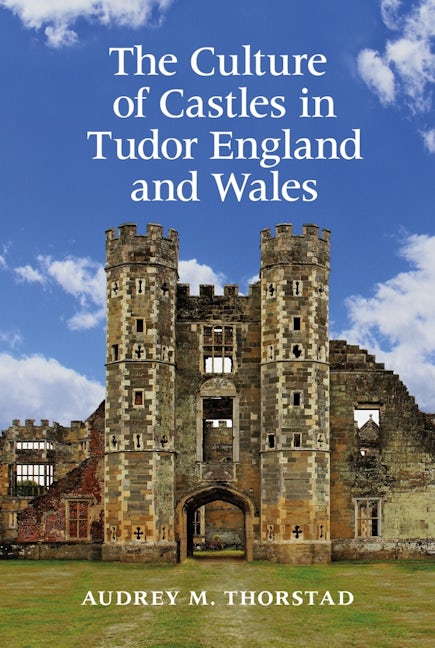 Book cover image for The Culture of Castles in Tudor England and Wales ISBN: 9781783273843