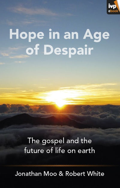 Cover image for Hope in an Age of Despair, isbn: 9781783590162