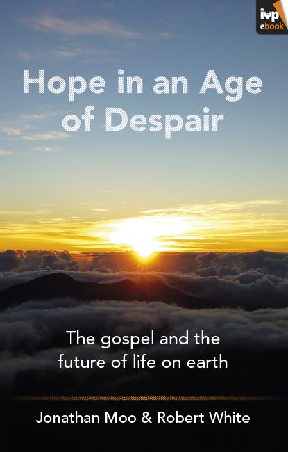 Cover image for Hope in an Age of Despair, isbn: 9781783590162