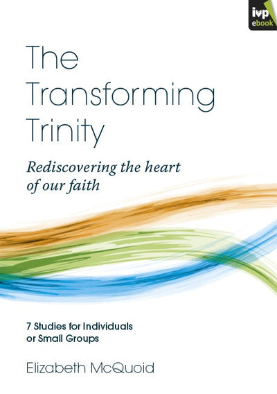 Cover image for The Transforming Trinity, isbn: 9781783590186