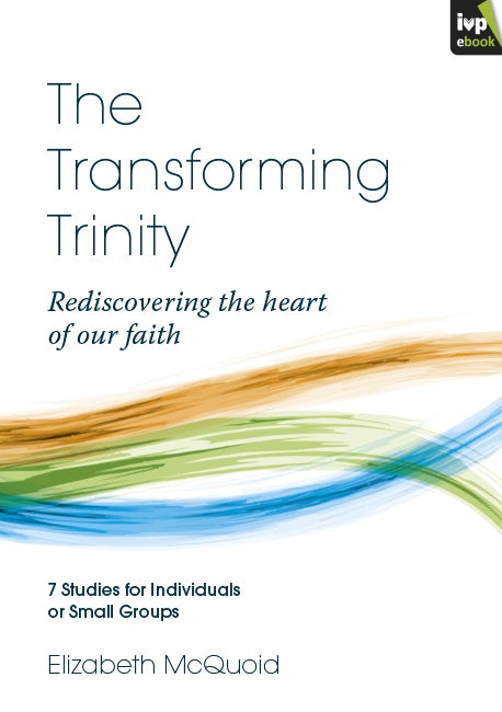 Cover image for The Transforming Trinity, isbn: 9781783590186